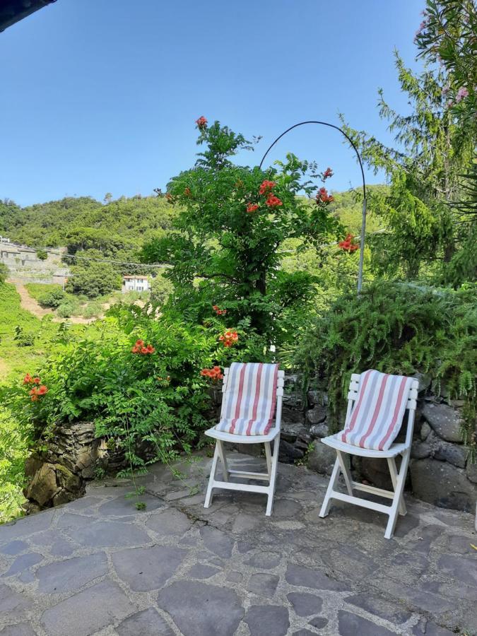 Ca Gialla De Drignana Vernazza Eksteriør billede