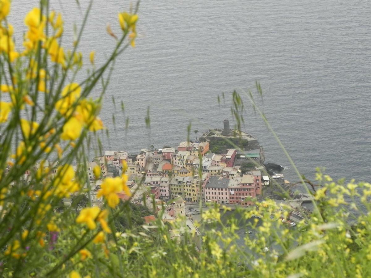 Ca Gialla De Drignana Vernazza Eksteriør billede
