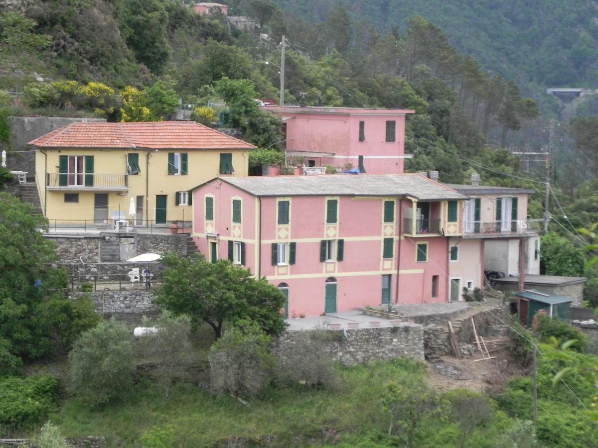 Ca Gialla De Drignana Vernazza Eksteriør billede